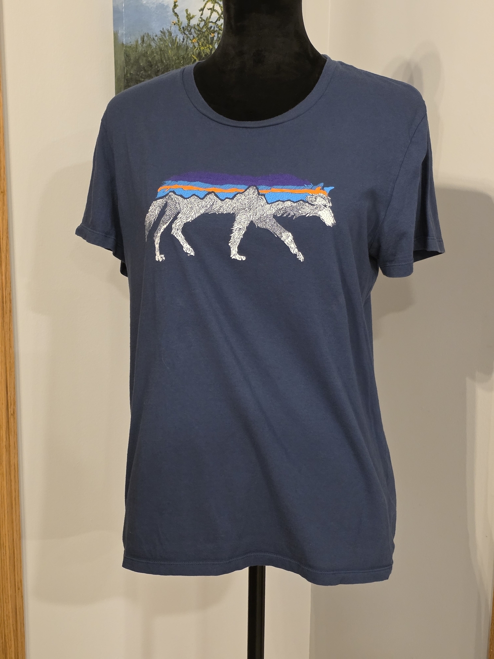 Patagonia Back For Good Organic T- Shirt -Women's Medium